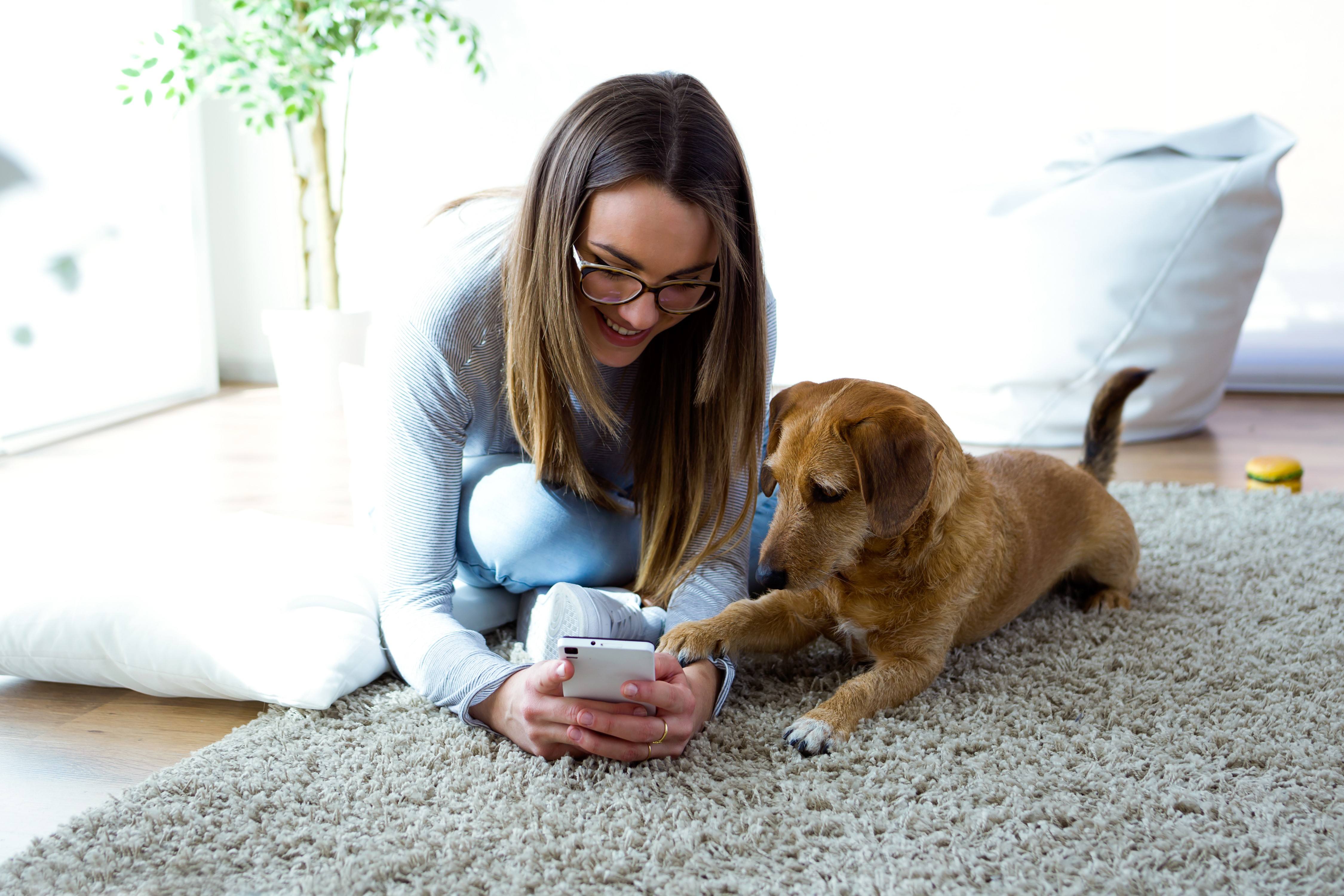 Photo of woman and her dog looking at her phone